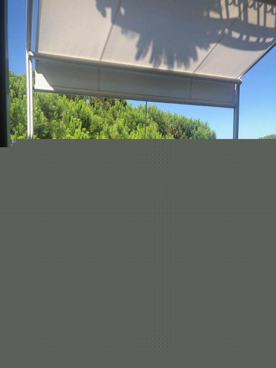 IMG-20191009-WA0009